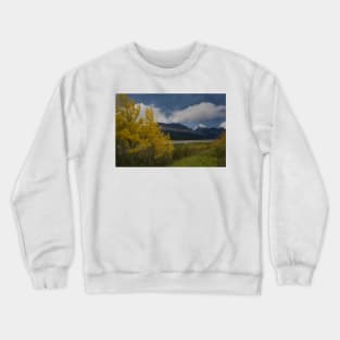 850_5052 Crewneck Sweatshirt